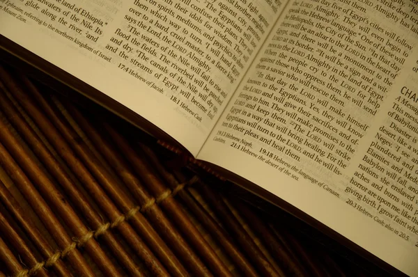 Offene Bibel — Stockfoto