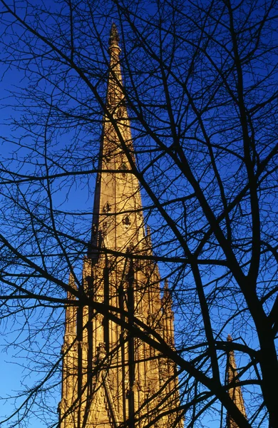 Kyrkan med silhuetten av träd — Stockfoto