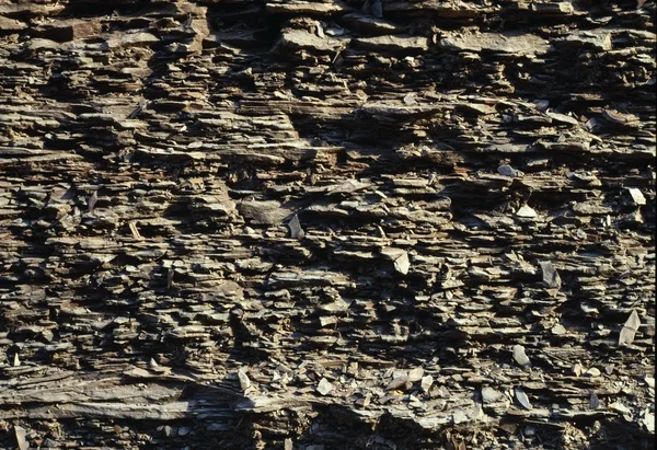 Siltstone e Shale Cliff — Fotografia de Stock