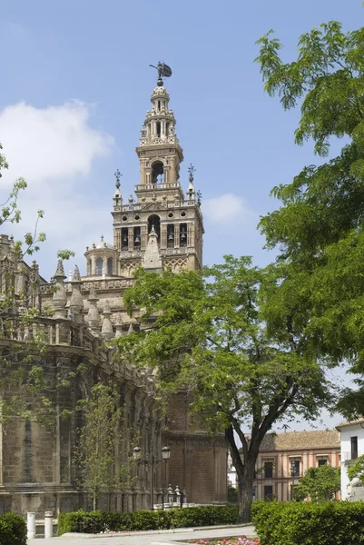 Giralda, Sevilla, Španělsko — Stock fotografie