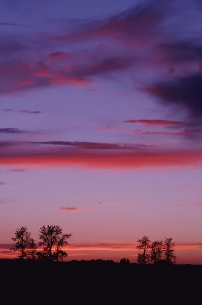 Silhouet landschap — Stockfoto