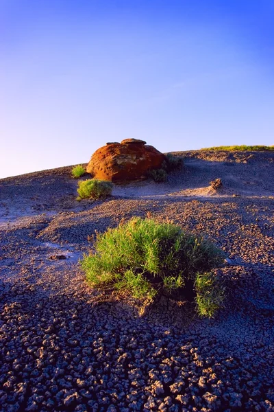 Coulee scenografica roccia rossa — Foto Stock