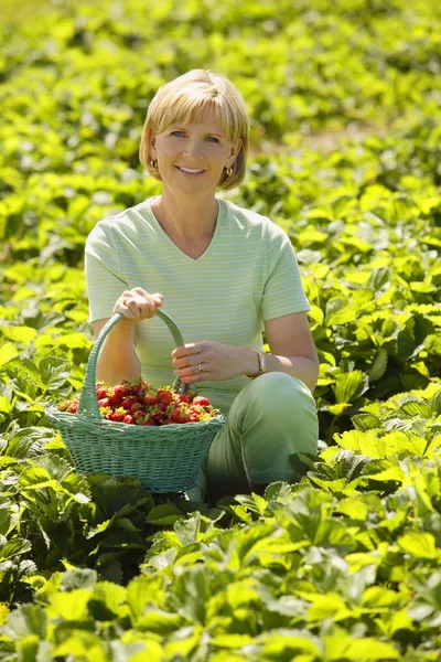 Žena sedí v jahodové pole — Stock fotografie