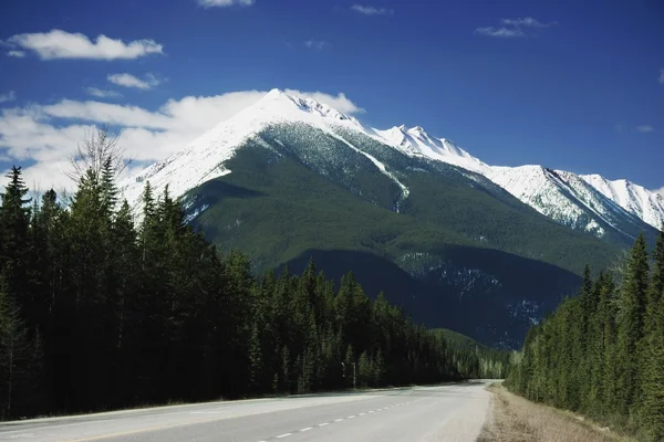 Aussichtsreiche Route — Stockfoto