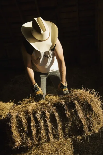 Hombre moviendo una paca de heno — Foto de Stock