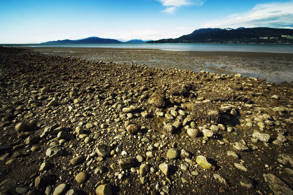 Обнаженное морское дно от отступающего прилива
