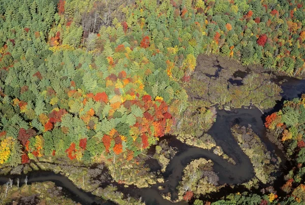 Vista aerea del Willard Brook State Park in autunno colore — Foto Stock