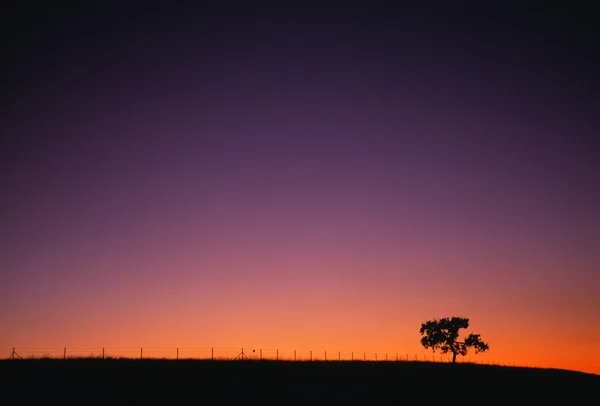 Silhouet landschap — Stockfoto