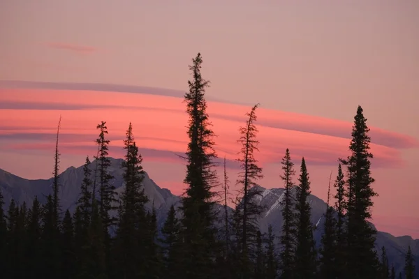 Längliche rosa Wolken über den felsigen Bergen — Stockfoto