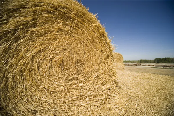 Bale Of Hay — Stock Photo, Image