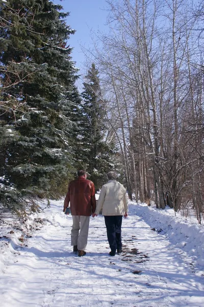 Casal sênior andando na neve — Fotografia de Stock