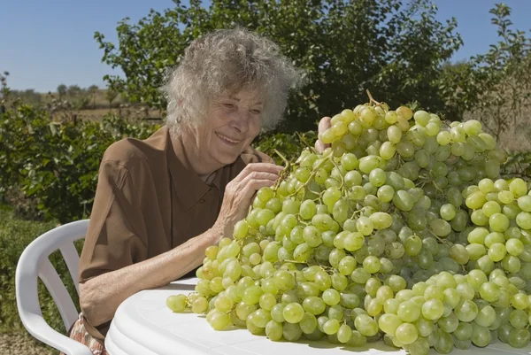 Grape Orchardist di Spanyol — Stok Foto