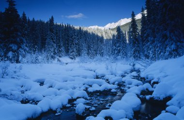 Banff Ulusal Parkı şafak