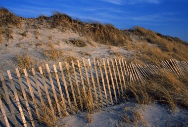 cape cod, kum tepeleri
