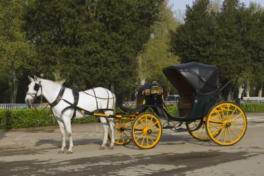 Horse And Carriage In The Plaza De Espana, Seville, Spain clipart