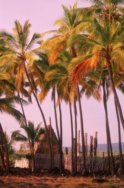 uhonua o honaunau Hawaii, ABD'deki Milli Tarih Parkı