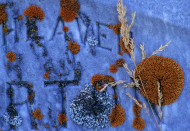 Close-Up eski mezar taşı