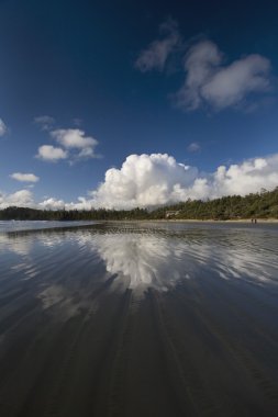 Cox bay beach, british columbia, Kanada