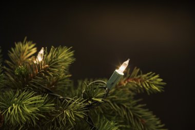 Noel Ağacı Işıkları