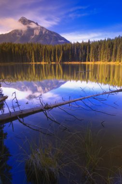 Pilot gölet banff, alberta, Kanada