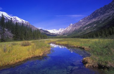 Rockies Provincial Park, British Columbia, Canada clipart