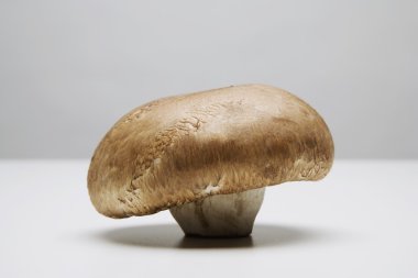 Natürmort bir mantar