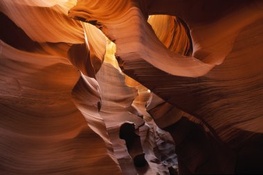 üst antilop Kanyonu yuvası