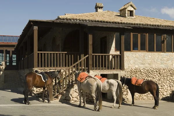 Cavalos para alugar fora do restaurante, El Pe=on, Província de Sevilla, Andaluzia, Espanha — Fotografia de Stock