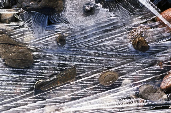 Ijs op rotsachtige creek — Stok fotoğraf