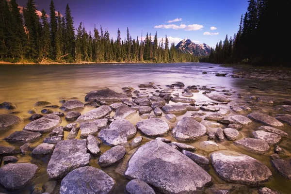 Rocky Riverbed In Wilderness — Stock Photo, Image