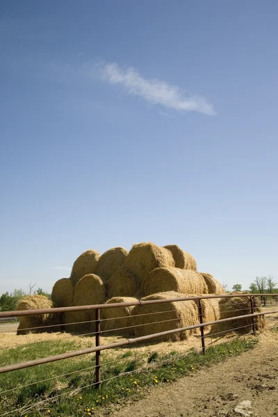 Bales Of Hay — Stock Photo, Image