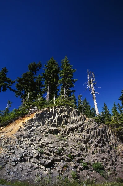 Oregon 'da başlık — Stok fotoğraf