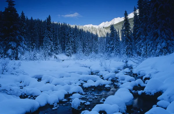 Banff nationalpark i gryningen — Stockfoto