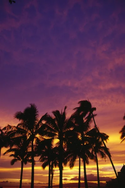 Cielo tropical — Foto de Stock