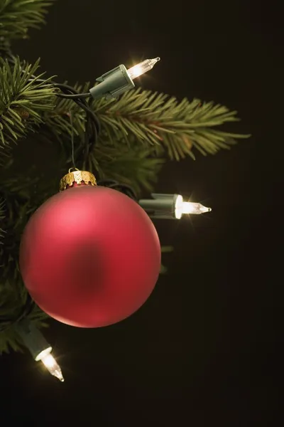 Ornamento albero di Natale — Foto Stock