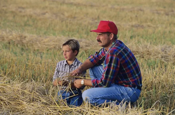 Bonde och son i fältet — Stockfoto