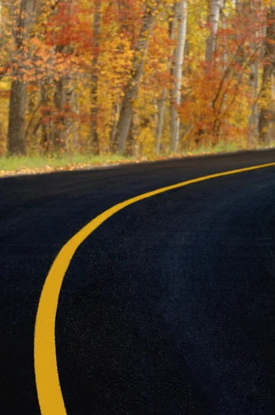 Carretera con árboles otoñales en el fondo — Zdjęcie stockowe