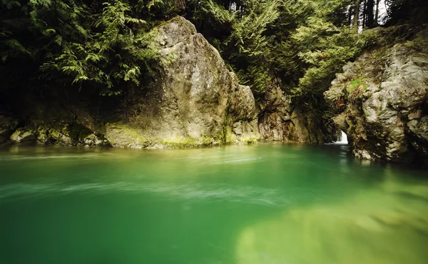 Lago panorâmico na floresta — Fotografia de Stock