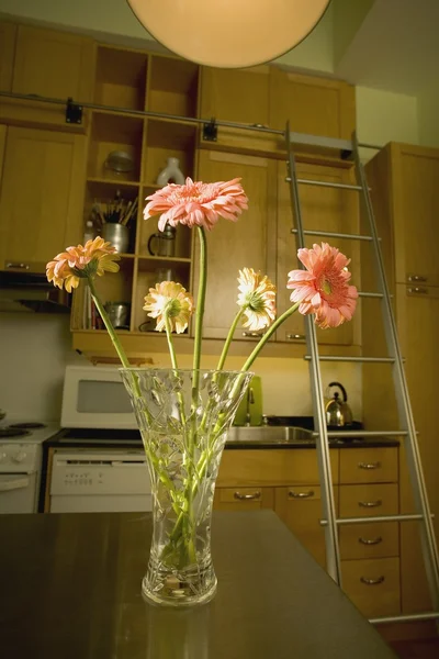 Gänseblümchen in einer Vase in der Küche — Stockfoto