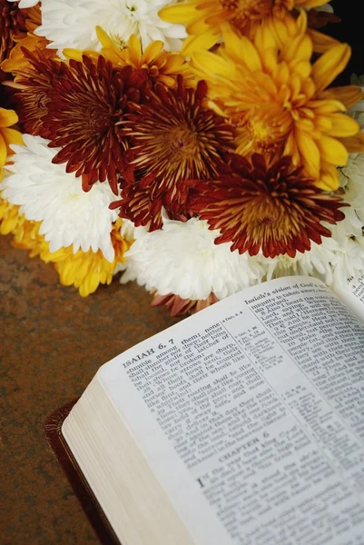 Biblia mellett a virágok kinyílnak, hogy Ézsaiás 6 — Stock Fotó
