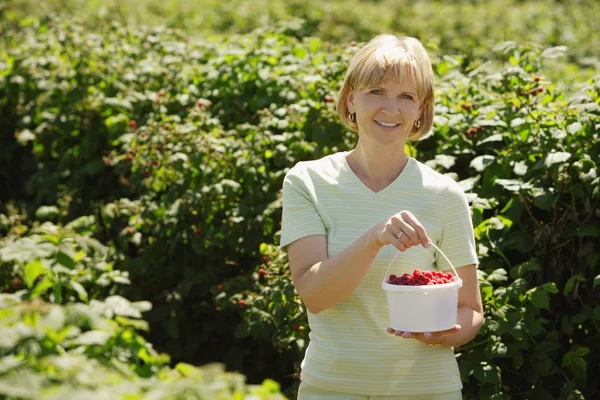 Frau hält ein Gefäß mit Himbeeren — Stockfoto