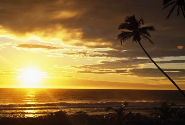 Lever de soleil avec palmiers — Photo