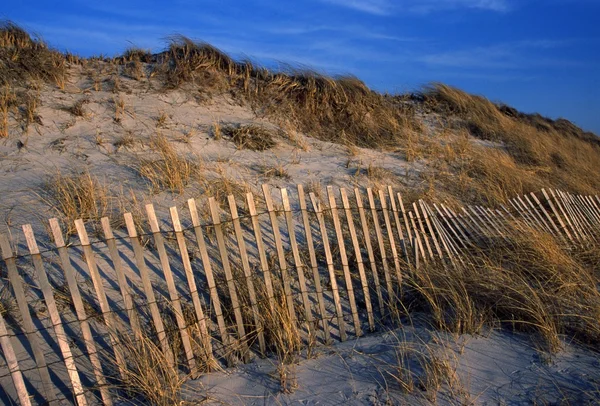 Písečné duny v cape cod — Stock fotografie