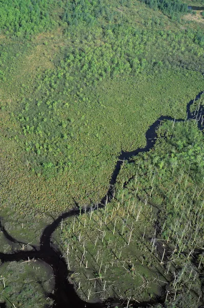 Veduta aerea delle zone umide di Schenob Brook — Foto Stock