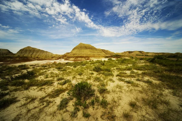 Krajobraz suchych — Zdjęcie stockowe