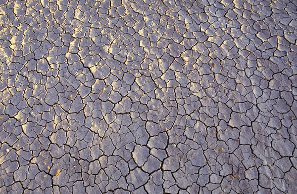 Detalle de tierra agrietada — Foto de Stock