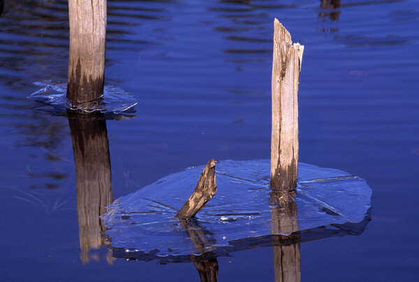 Springtime Thaw