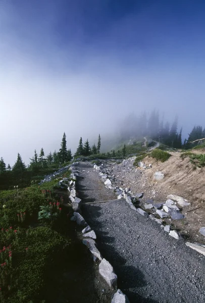 Sisli bir dağ yolu — Stok fotoğraf