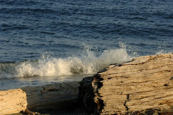 Волны разбиваются о берег — стоковое фото