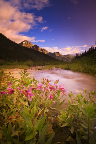 Rivière Mountain Scenic — Photo